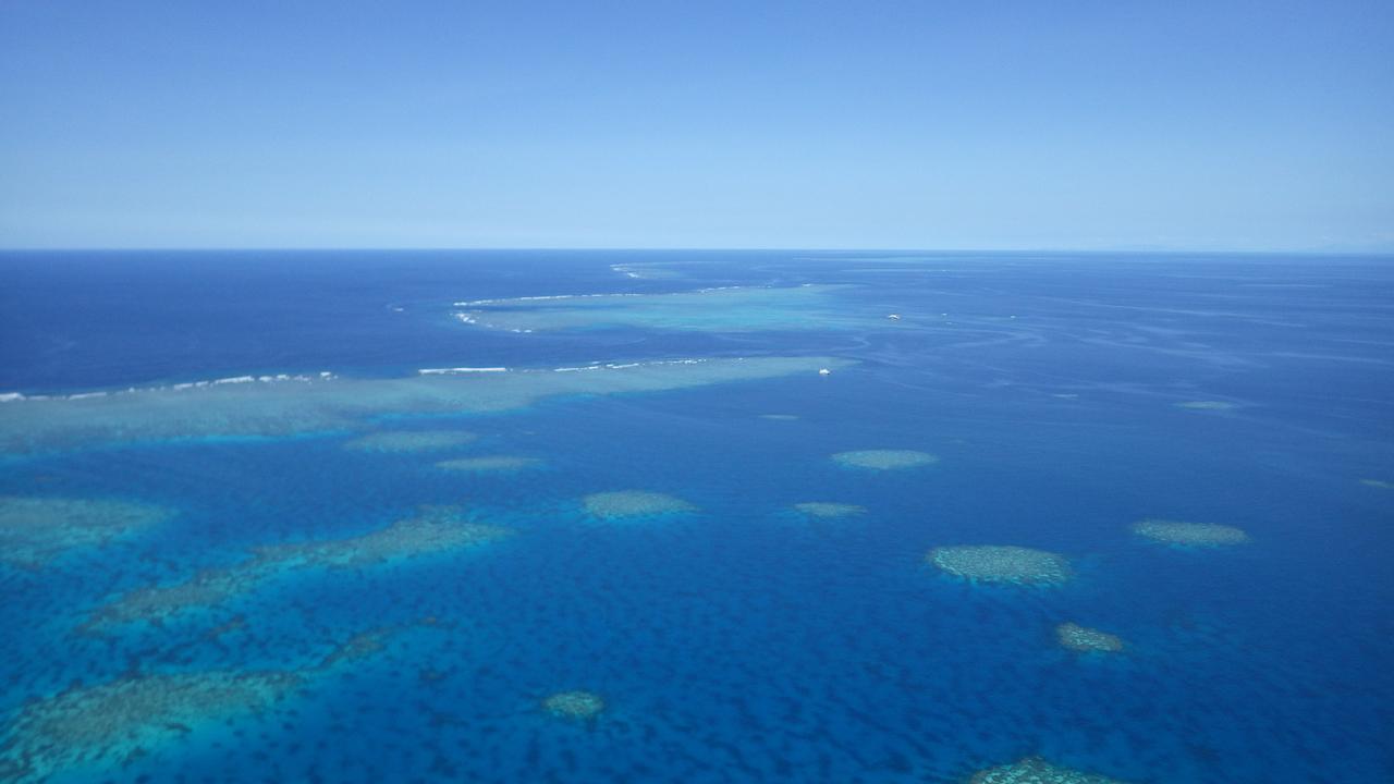 South Pacific Bed & Breakfast Клифтон-Бич Экстерьер фото